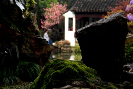 蘇州 網師園(春) The Master-of-Nets Garden, Suzhou China 20150406 05 photo