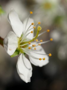Spring has arrived