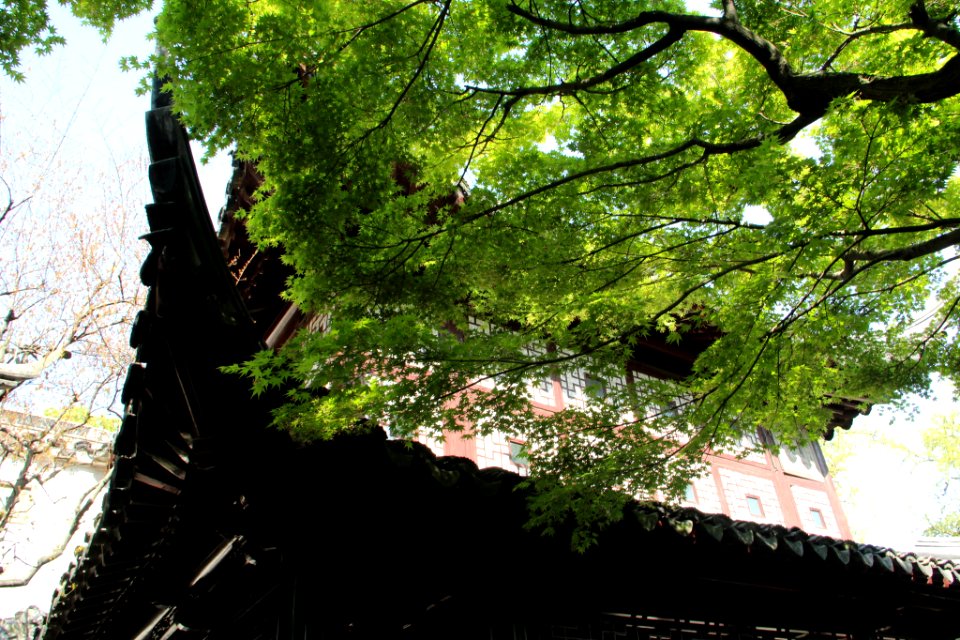 蘇州 留園(春) Lingering garden, Suzhou China 20140406 05