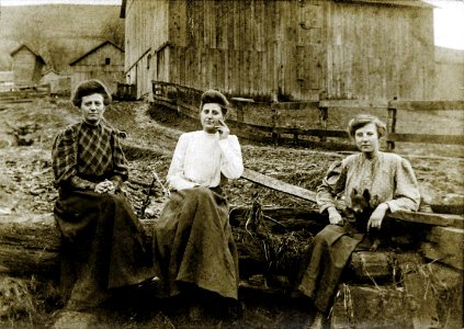 Three sisters on a farm