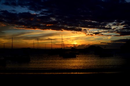  DSC2631
