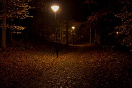 Going home