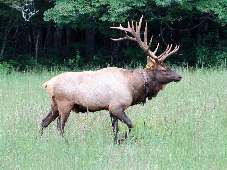 Nature male outdoors