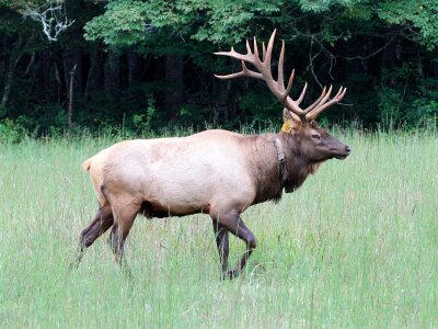 Nature male outdoors