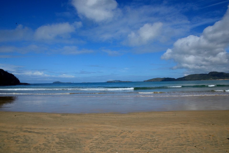  DSC2724