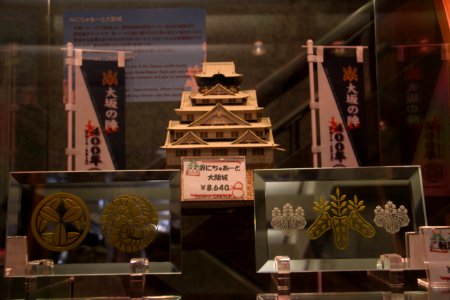 日本 京都大阪5日遊 20140622 0777