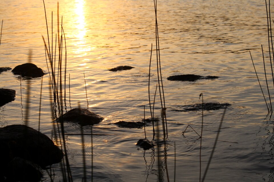 Serenity summer fishing