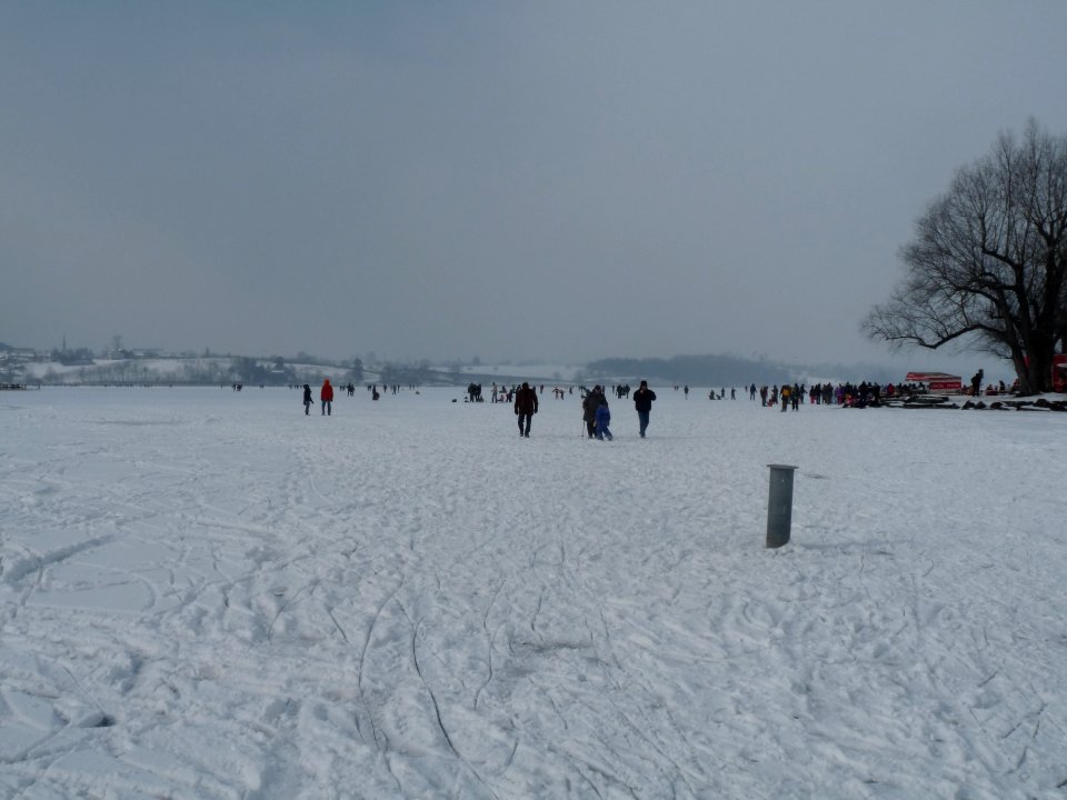 P1010317