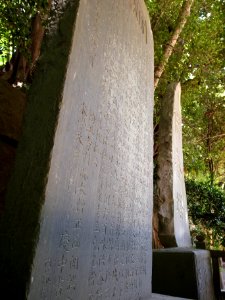 R0010081.jpg