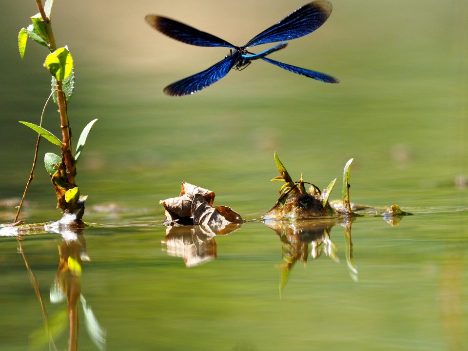 Inflight super telemacro