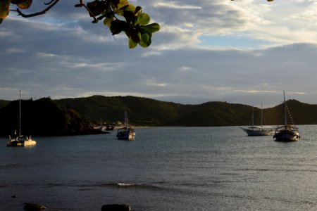  DSC2690
