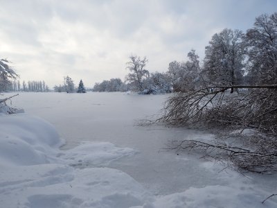 Winterwonderland