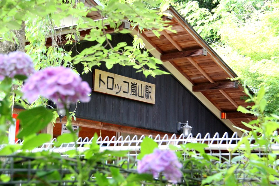 日本 京都大阪5日遊 20140622 0154