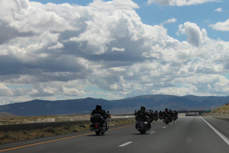 Biker gang - Sons of Anarchy?