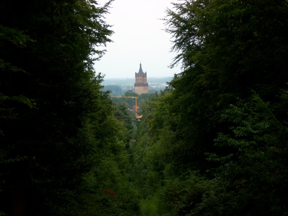 Landscape green black landscape