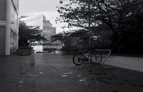 Bicycle and walkway photo