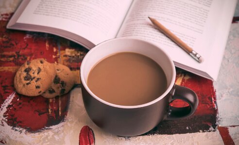 Chocolate chip cookies reading photo