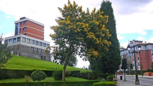 Colegio Mayor América