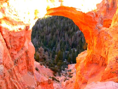 29 Bryce Canyon N.P. (25)