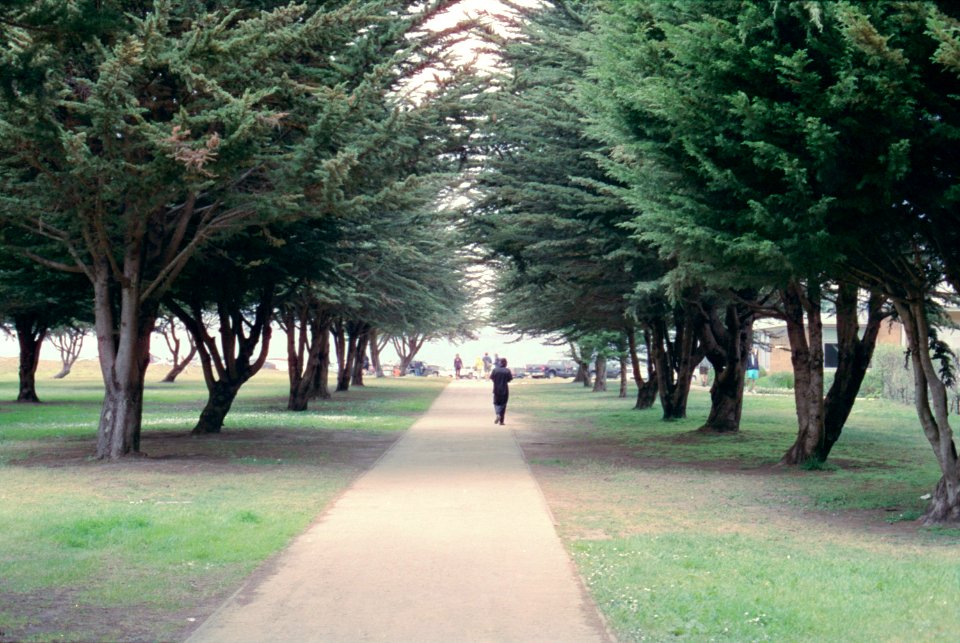 road to the beach