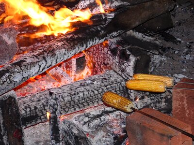 The stake corn roast