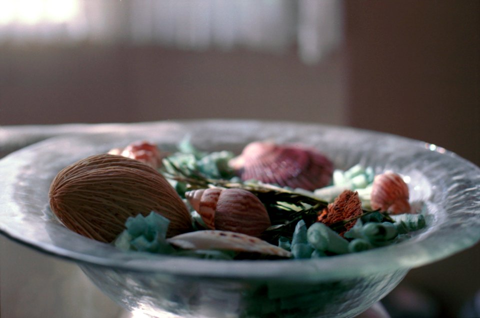 Shells in glass vase 2