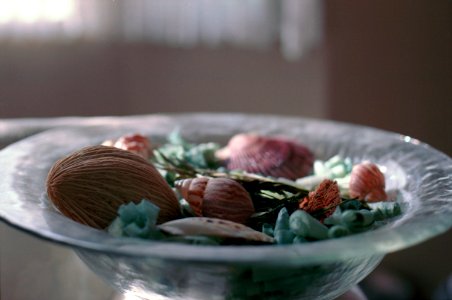 Shells in glass vase 2