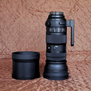 SIGMA 150-600 BALLANTI 2