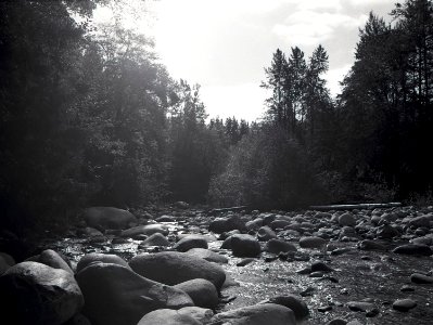 Lynn Canyon river 2 photo