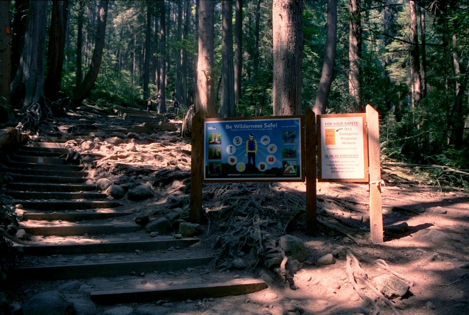Hiking sign in woods