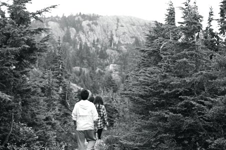 Hiking through Trees photo