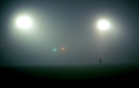 Foggy Field