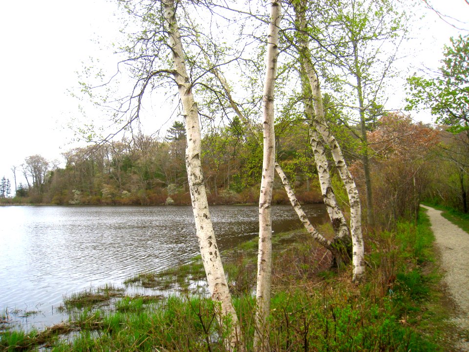 046 (Coolidge Reservation)