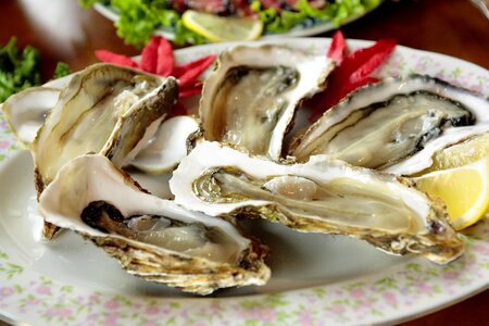 Cuisine shell oyster