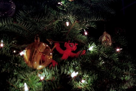 Christmas Tree Ornaments Close Up