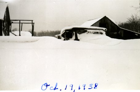 After an early blizzard photo
