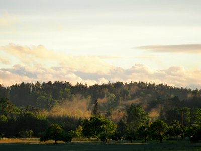 after the rain