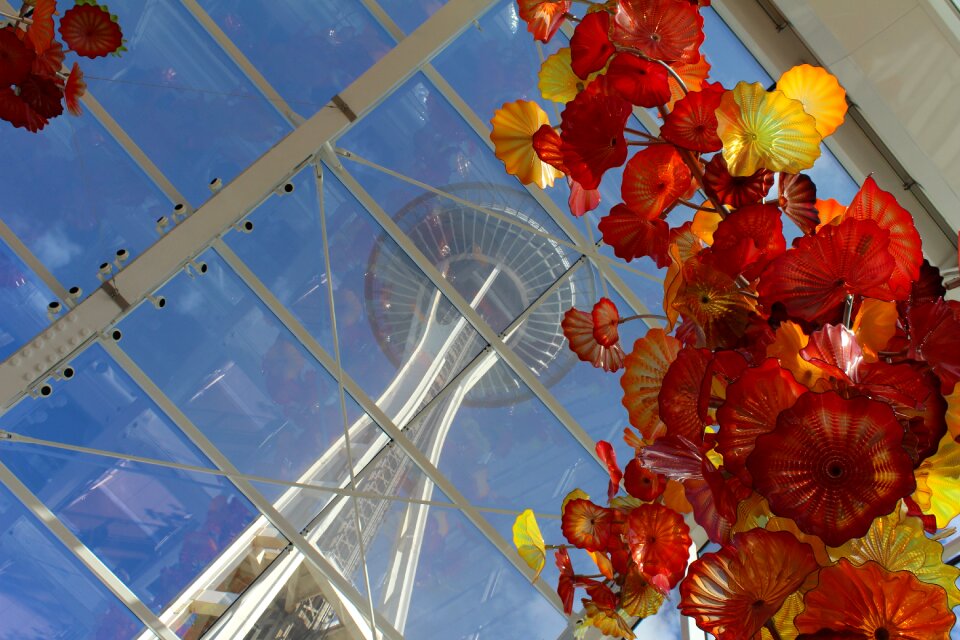 Conservatory greenhouse plants