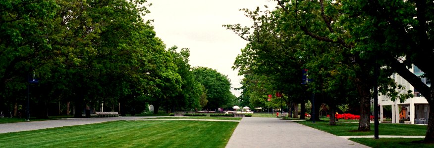 campus walkway (ubc)
