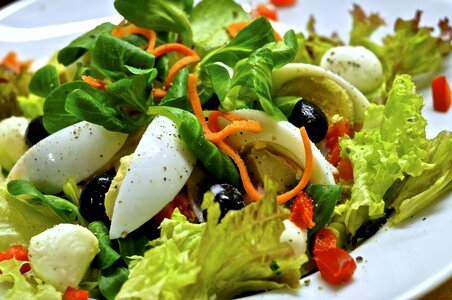 Healthy lamb's lettuce salad plate photo