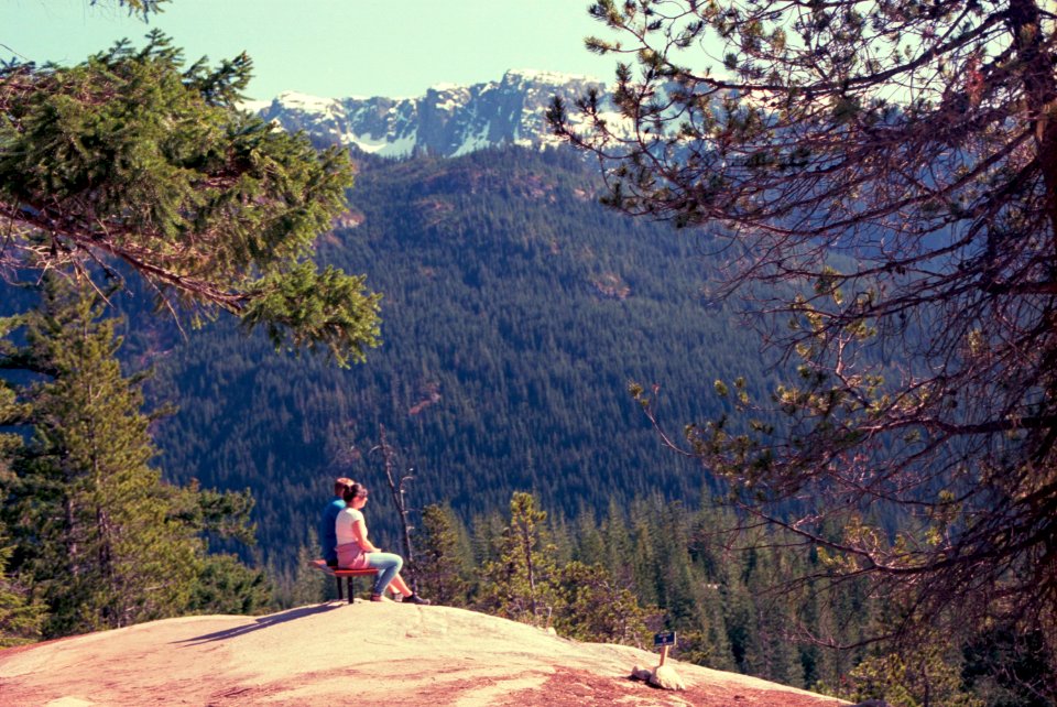Couple sitting on bench