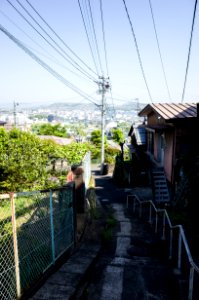 R0185778.jpg