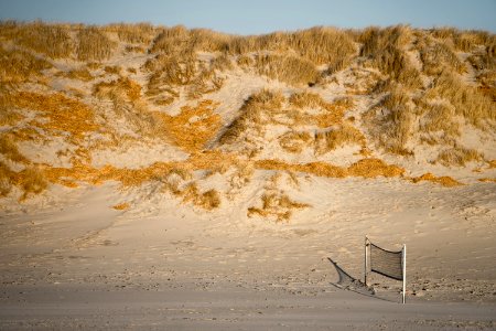 Strand I