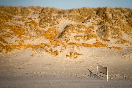 Strand I photo