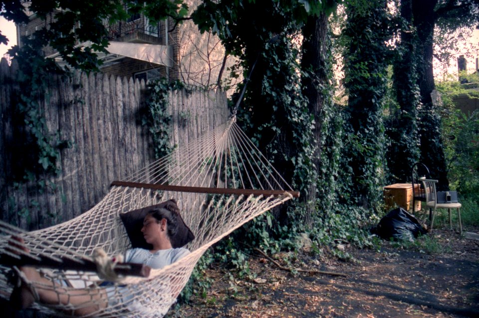 sleeping in hammock, backyard photo