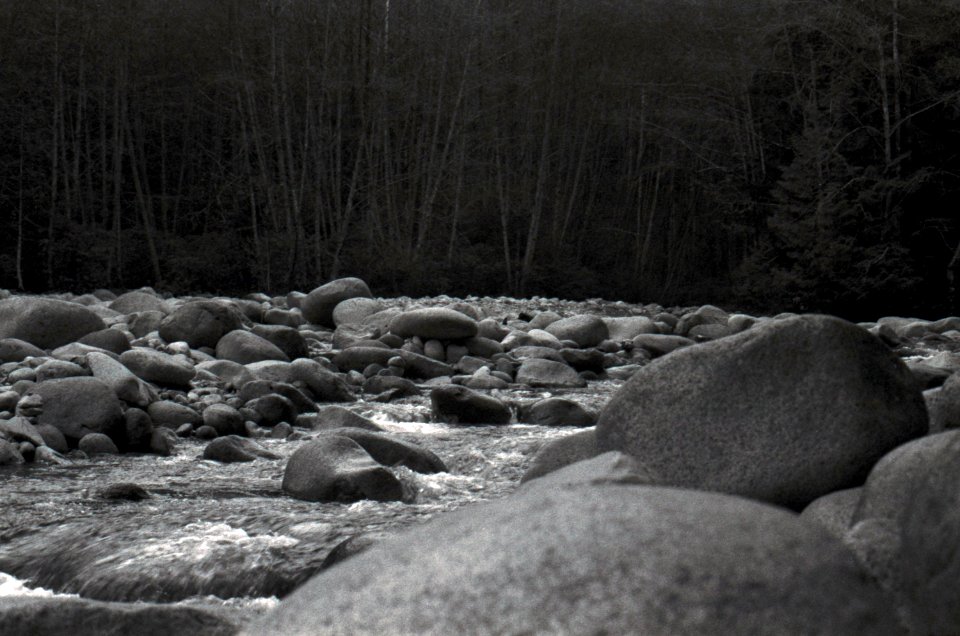 Lynn Canyon River 2