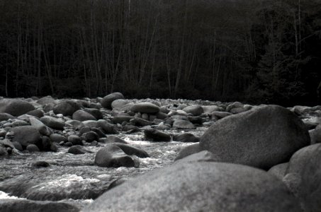 Lynn Canyon River 2 photo