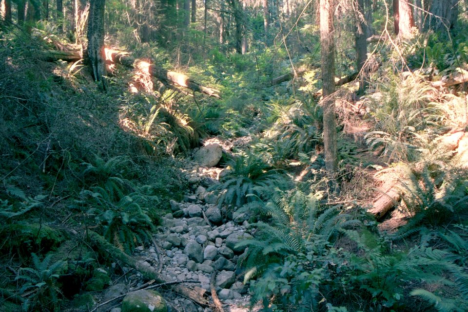 North Vancouver river bed