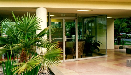 west end apartment door with palm
