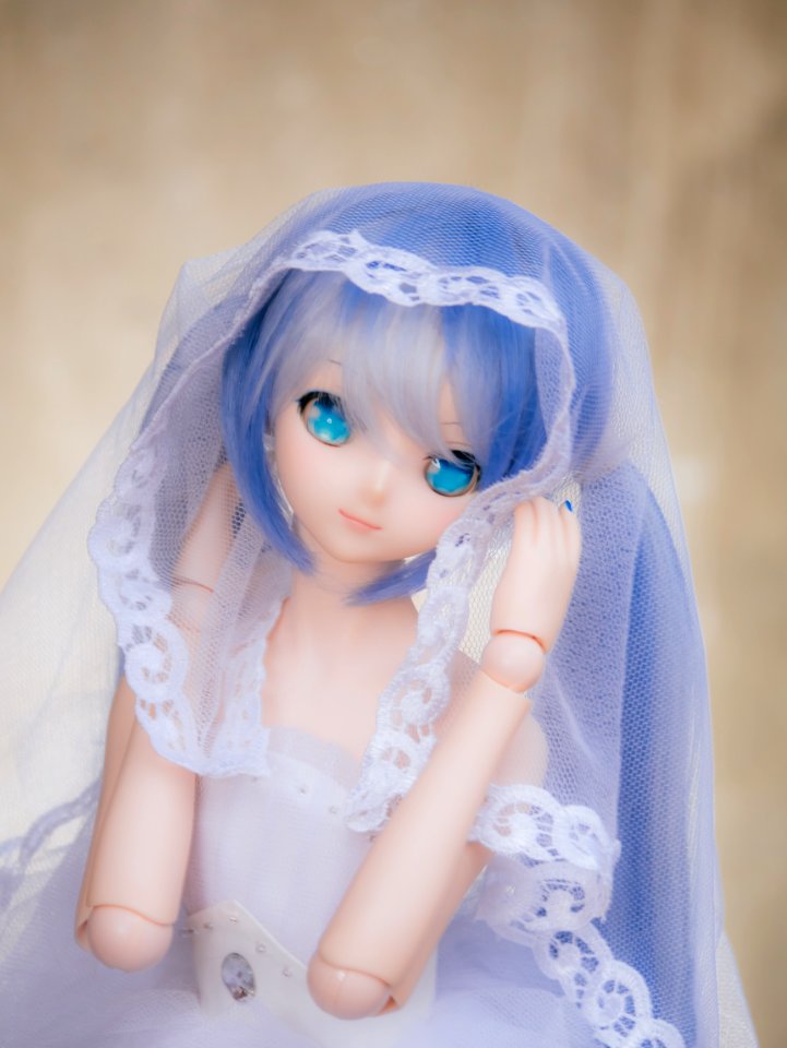 Dollfie Dream photo